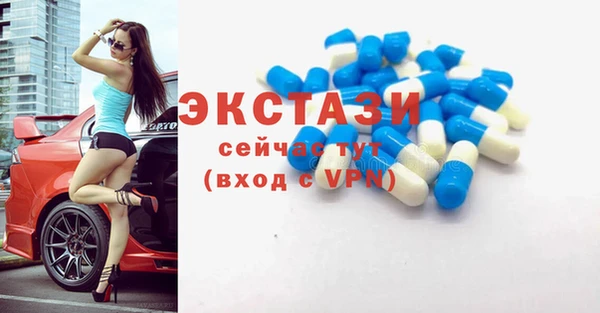 индика Заволжск