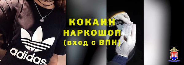 индика Заволжск