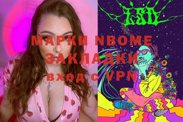 индика Заволжск