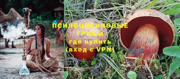 индика Заволжск