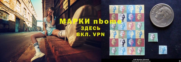 индика Заволжск