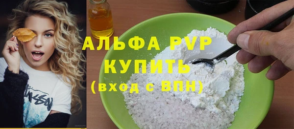 индика Заволжск