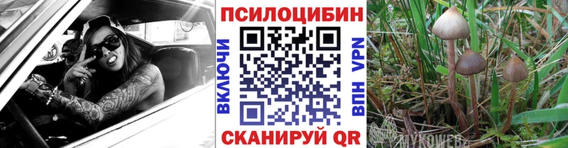Псилоцибиновые грибы GOLDEN TEACHER  Мышкин 